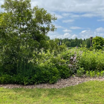 View of garden at Westminster Reformed Presbyterian Church