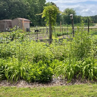 View of garden at Westminster Reformed Presbyterian Church