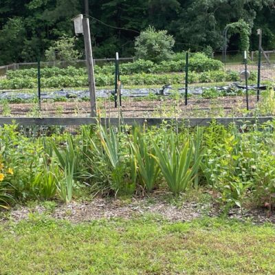 View of garden at Westminster Reformed Presbyterian Church