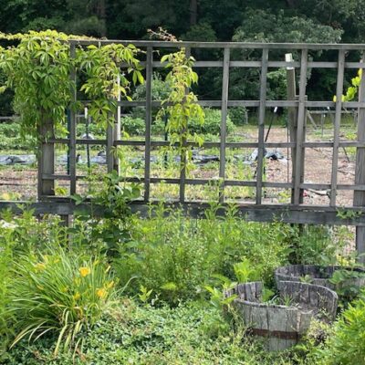 View of garden at Westminster Reformed Presbyterian Church