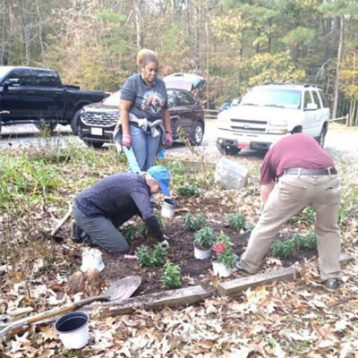 Volunteers planting at Great Dismal Swamp NWR