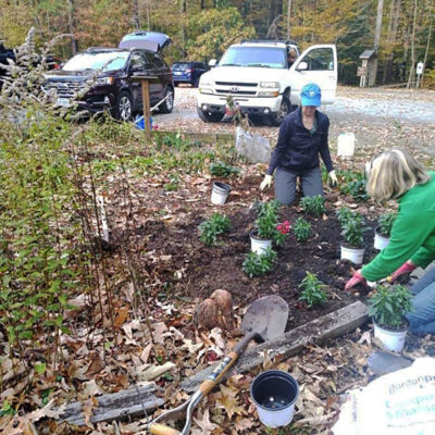 Volunteers planting at Great Dismal Swamp NWR