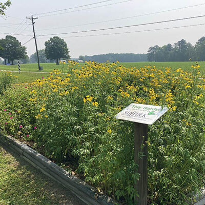 Garden at Liberty Springs Ruritan Park