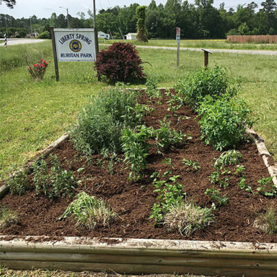 Initial garden at Liberty Springs Ruritan Park