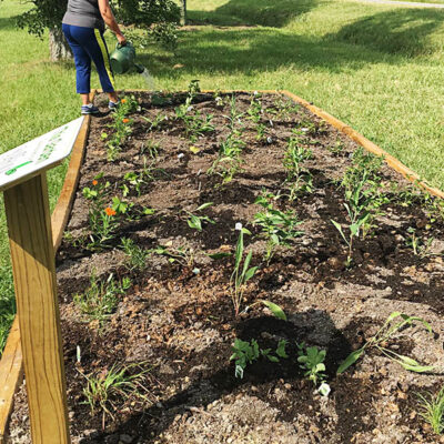 Planting at Liberty Springs Ruritan Park