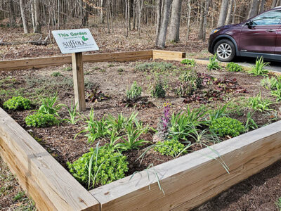 new plantings at Seaboard Coastline Trail – Suburban Drive