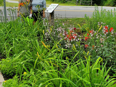 Suffolk EMGs at Seaboard Coastline Trail – Suburban Drive